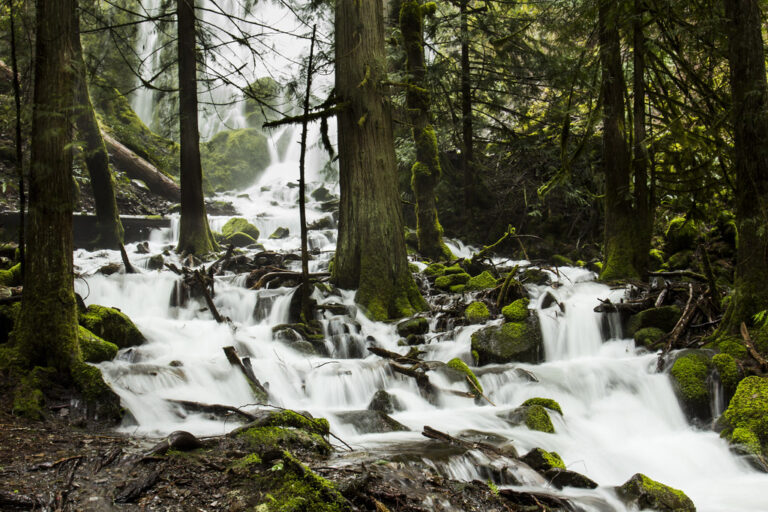 Greenville, S.C., County OKs Mountain Creek overlay